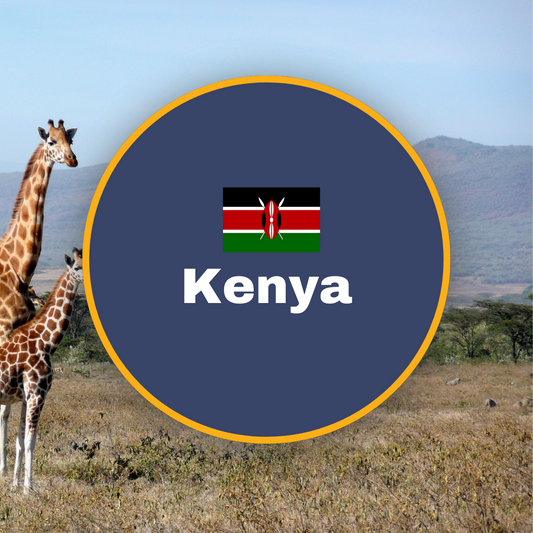 Kenya Subscription Box