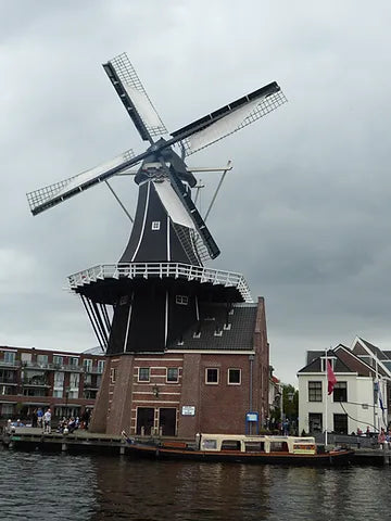 Mill Language in Haarlem