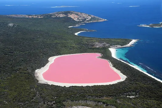 Lake Hillier is the only pink lake in the world….and it is Real!