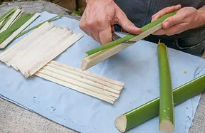 A person demonstrating the art of making papyrus paper.